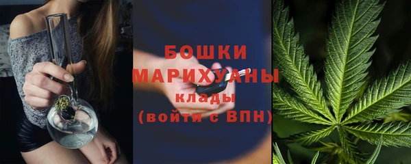 ECSTASY Ельня