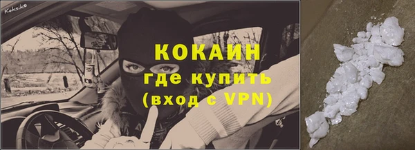 ECSTASY Ельня