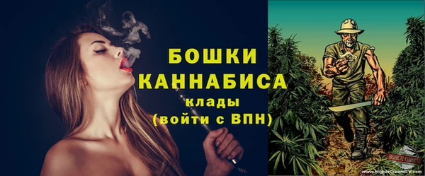 ECSTASY Ельня