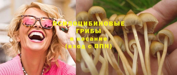 меф Елизово