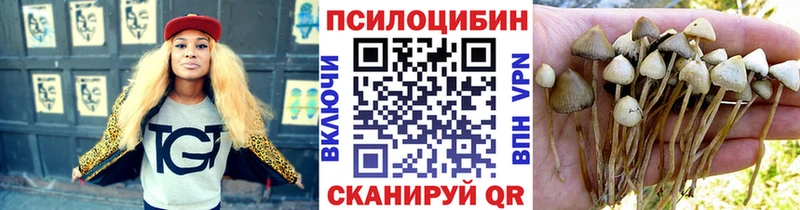 мега рабочий сайт  Фатеж  Псилоцибиновые грибы Cubensis 